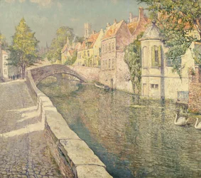 Swans on a Canal, Bruges